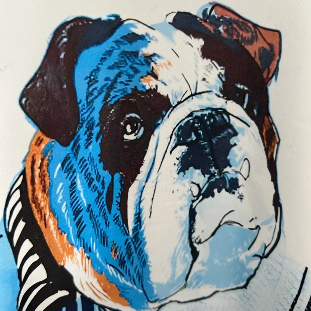 White Bulldog Graphic Sweatshirt - Picture 2 of 7